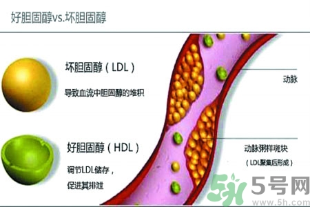膽固醇高會(huì)引發(fā)什么疾病嗎？如何控制高膽固醇？