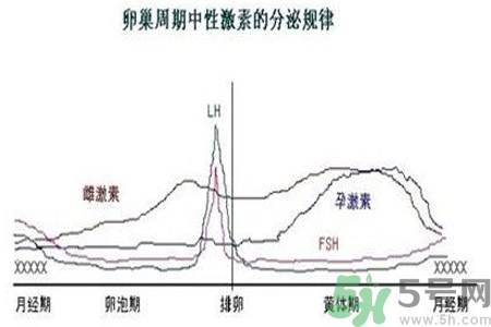 如何分清常見的激素藥？如何正確使用激素類藥物？
