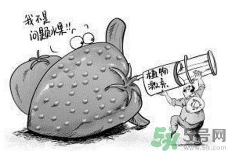如何分清常見的激素藥？如何正確使用激素類藥物？