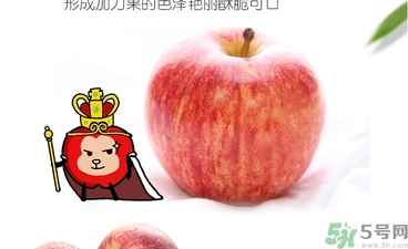 姬娜果是什么？姬娜果的功效作用