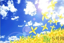 如何應(yīng)對(duì)秋老虎？秋老虎如何養(yǎng)生？
