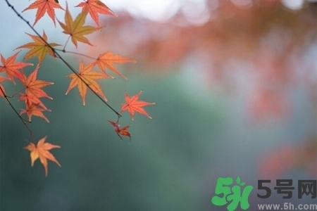 秋天換季病有哪些？秋天該如何保健養(yǎng)生呢？