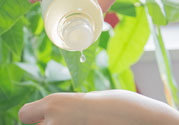 春雨水乳適合人群 春雨水乳孕婦可以用嗎？