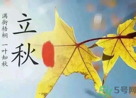  為什么立秋了還這么熱？立秋后要多久才能涼快？