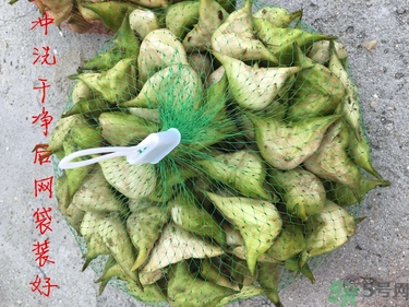菱角和豬肉能一起吃嗎？菱角和什么不能一起吃？