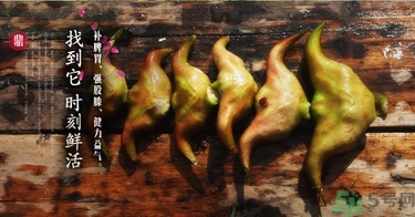 菱角和豬肉能一起吃嗎？菱角和什么不能一起吃？