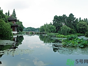 菱角是什么？菱角是什么季節(jié)成熟的？