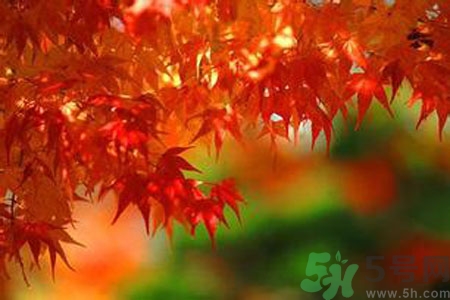 秋燥的表現(xiàn)是什么？小孩如何預(yù)防秋燥？