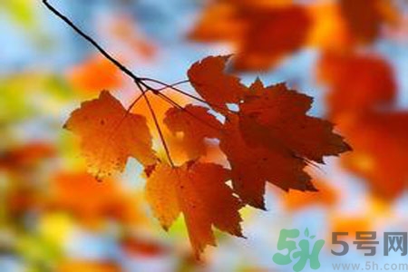 秋燥的表現(xiàn)是什么？小孩如何預(yù)防秋燥？
