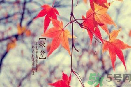 立秋潤肺可以吃什么食物？秋天潤肺可以吃的水果有哪些？