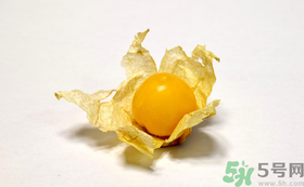 姑娘果的營養(yǎng)價(jià)值有哪些？姑娘果的功效與作用