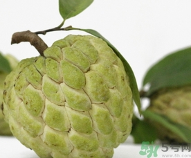 釋迦果怎么吃？釋迦的營(yíng)養(yǎng)價(jià)值功效作用