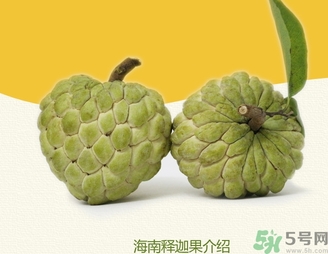 釋迦果怎么吃？釋迦的營(yíng)養(yǎng)價(jià)值功效作用
