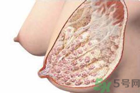 乳房脹痛的原因？乳房脹痛怎么辦？