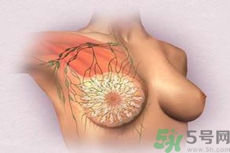 乳頭發(fā)黑是怎么回事？乳頭發(fā)黑是什么原因？