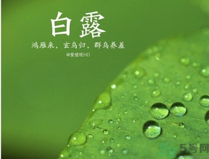 白露是什么意思？白露是幾月幾日