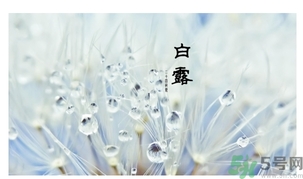 白露身不露是什么意思？白露還熱嗎？