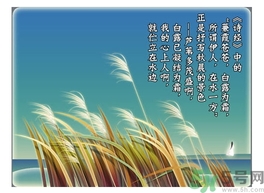 白露茶是什么茶？白露為什么要喝白露茶？