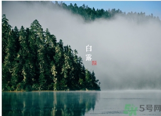白露吃什么好？白露食療