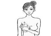女性乳腺增生的原因是什么？乳腺增生的癥狀有哪些？