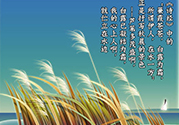 白露是什么意思？白露是幾月幾日
