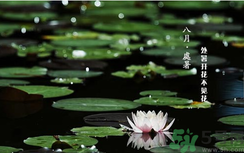 處暑如何養(yǎng)生？處暑養(yǎng)生要注意什么？
