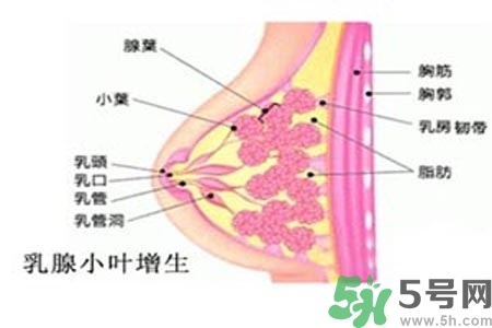 乳房上有硬塊怎么辦？乳房有硬塊的病因是什么？