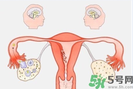 陰道出血和什么有關(guān)？陰道出血的應(yīng)急措施有哪些？