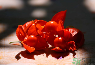 紅姑娘怎么吃？紅姑娘怎么保存？