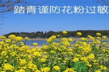 花粉過(guò)敏的表現(xiàn)是什么？如何有效的預(yù)防花粉過(guò)敏？