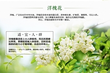 洋槐蜜是什么？洋槐蜜的作用與功效有哪些？