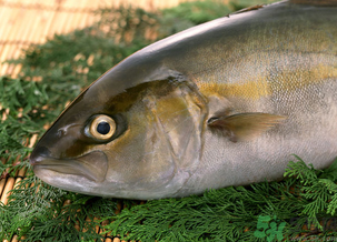 魚眼睛可以吃嗎？吃魚眼睛有什么好處？