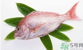 吃魚(yú)眼睛對(duì)眼睛有好處嗎？吃什么魚(yú)對(duì)眼睛好？