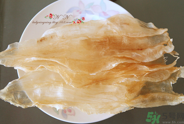 魚膠是什么？魚膠的功效與作用？