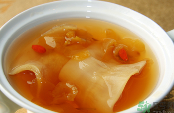 魚膠怎么燉不腥？魚膠的燉法推薦