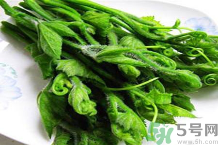 南瓜藤的功效作用有哪些？南瓜藤的食用價值是什么？