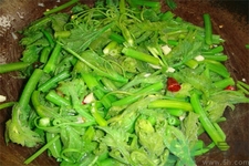 南瓜藤的功效作用有哪些？南瓜藤的食用價值是什么？
