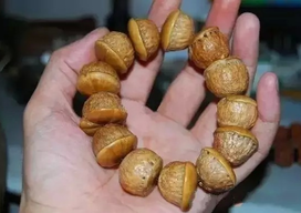 壯陽(yáng)果怎么泡酒？ 壯陽(yáng)果泡酒的功效與作用