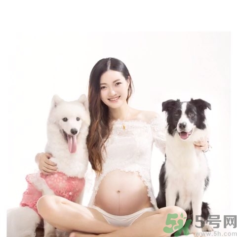 孕婦可以養(yǎng)狗嗎？養(yǎng)狗對(duì)孕婦有影響嗎？