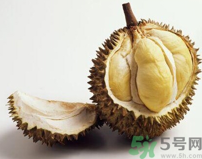 榴蓮能放冰箱嗎？榴蓮放在冰箱能保存幾天？