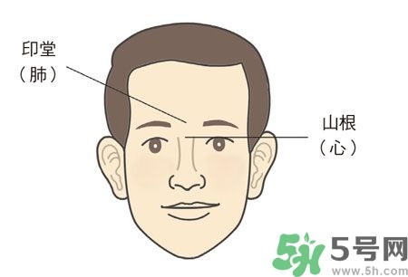 耳垂上有豎紋是怎么回事？山根有橫紋是什么??？