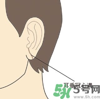 耳垂上有豎紋是怎么回事？山根有橫紋是什么??？