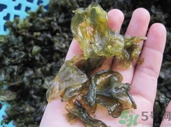 地皮菜是發(fā)物嗎？地皮菜的功效與禁忌