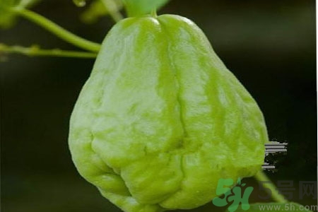 佛手瓜的功效與作用是什么？佛手瓜的營(yíng)養(yǎng)價(jià)值有哪些？