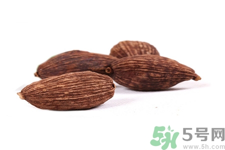 草果是什么？草果的功效與作用