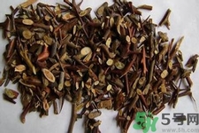 皂角刺的藥用價值是什么？皂角刺的功效與作用有哪些？