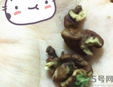 三只松鼠多少錢一袋？三只松鼠價(jià)格