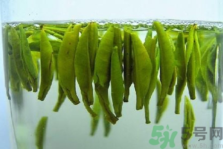 茶葉的泡法有哪些？泡茶葉的最佳水溫是多少？