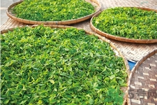 如何自制減肥茶？自制減肥茶需要哪些材料？