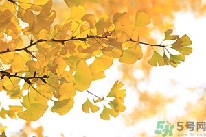 秋燥吃什么好？秋燥怎么辦？